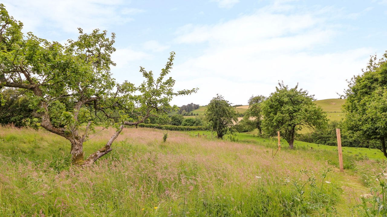 Photo of Others in Knighton