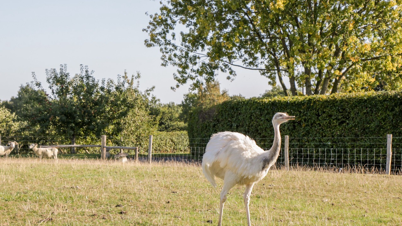 Photo of Others in Chippenham