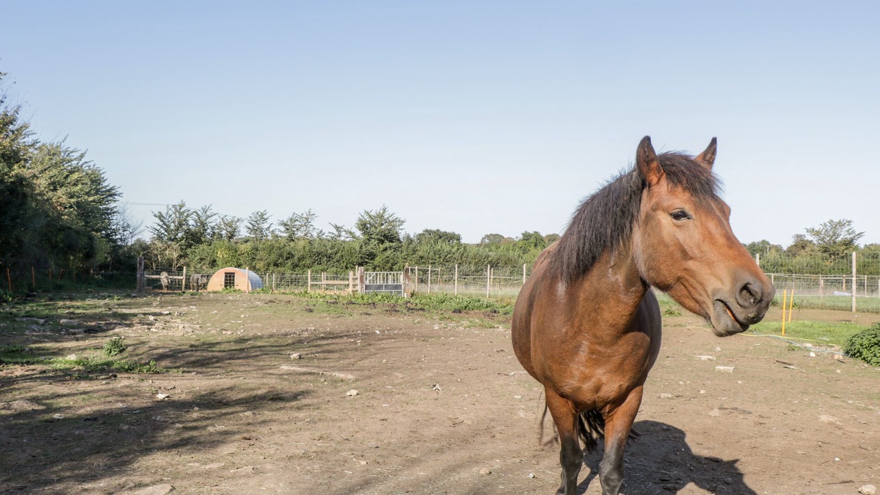 Photo of Others in Chippenham