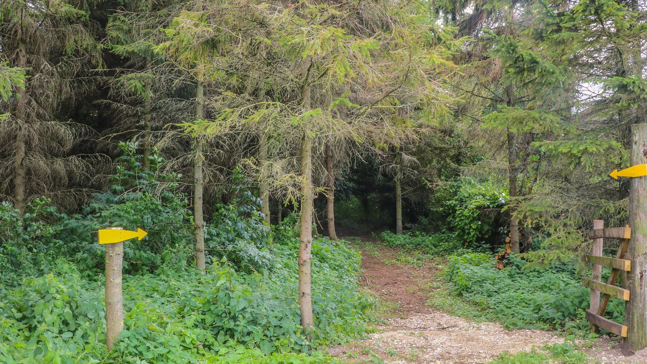 Photo of Others in Storwood