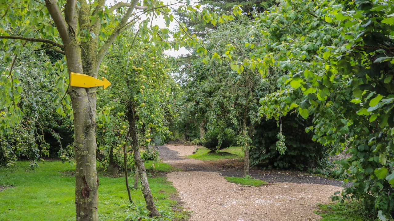 Photo of Others in Storwood