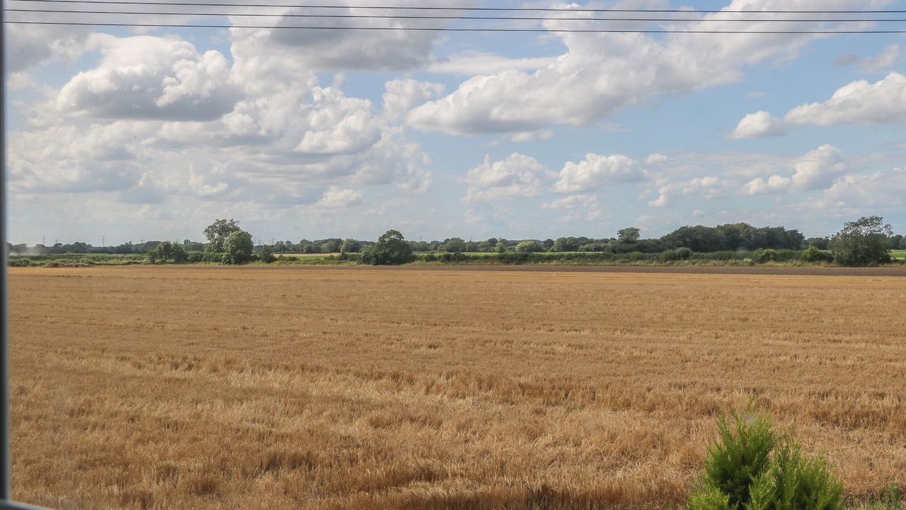 Photo of Others in Storwood