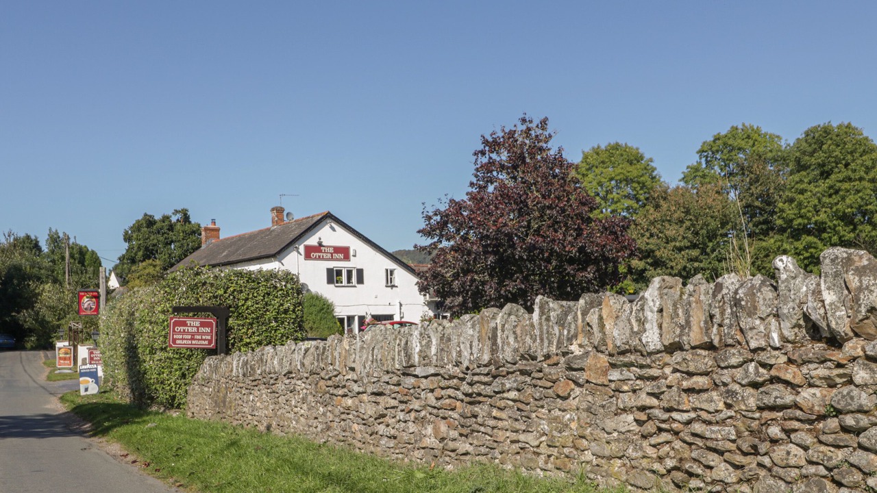 Photo of Outdoor in Honiton