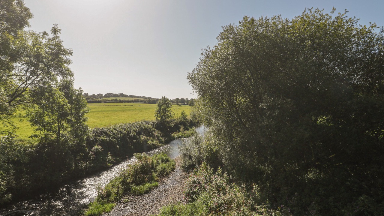 Photo of Others in Honiton