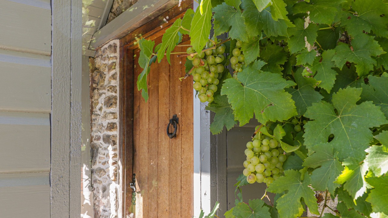 Photo of Others in Honiton