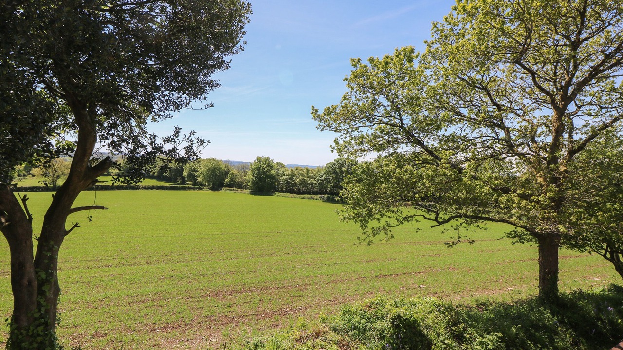 Photo of Others in Saint Ann's Chapel