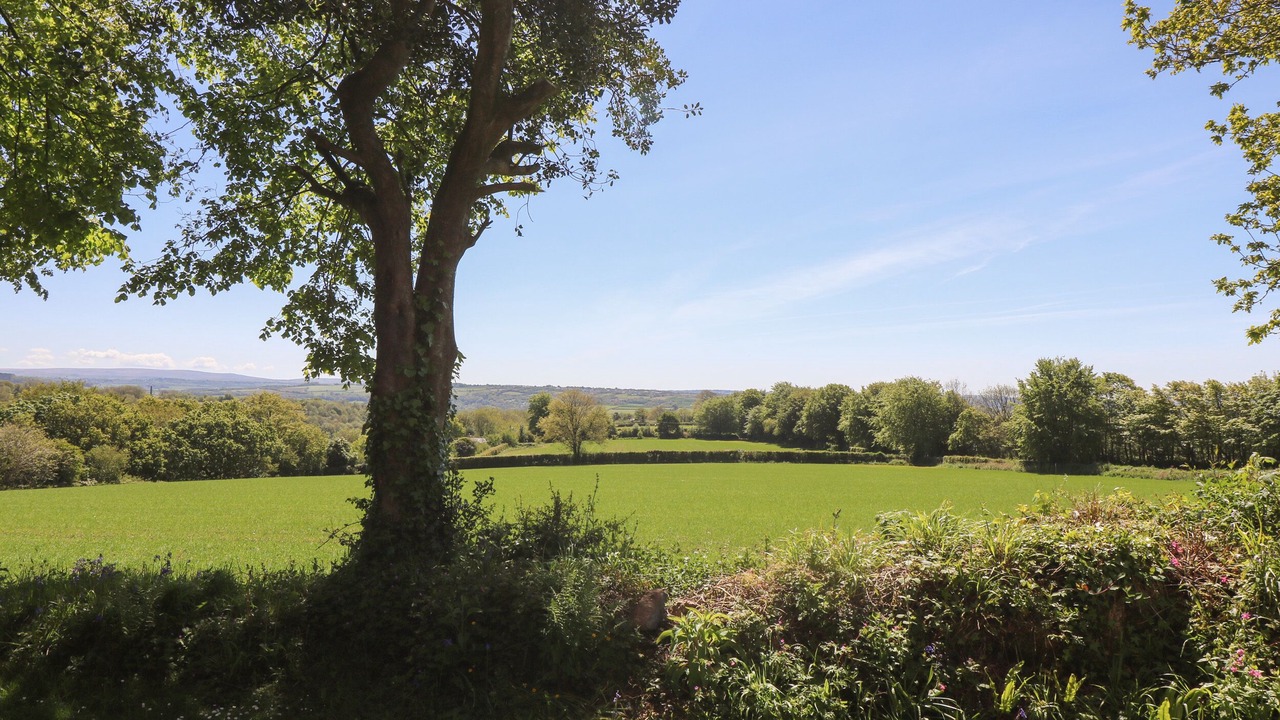 Photo of Others in Saint Ann's Chapel