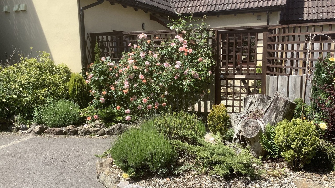 Photo of Others in Shipham