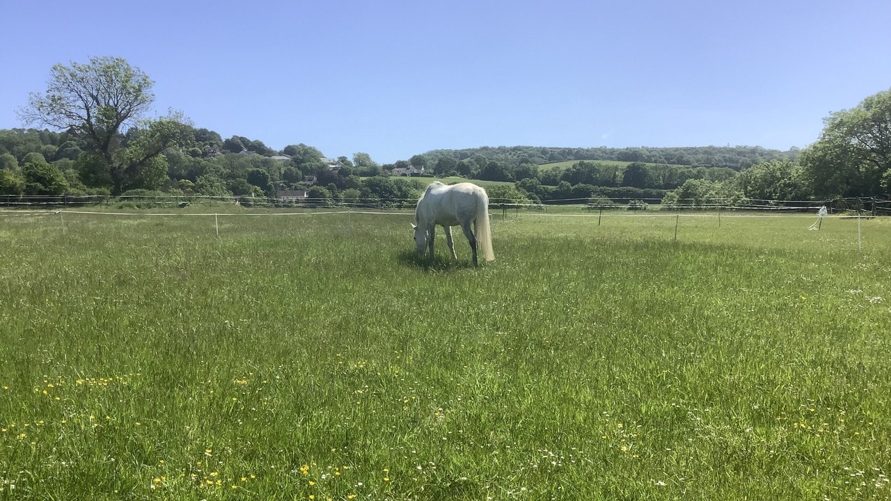 Photo of Others in Shipham