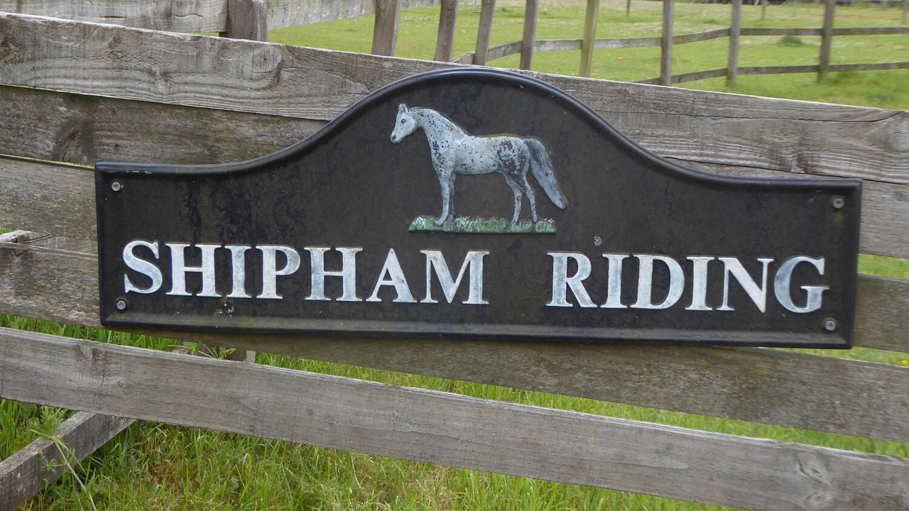 Photo of Others in Shipham