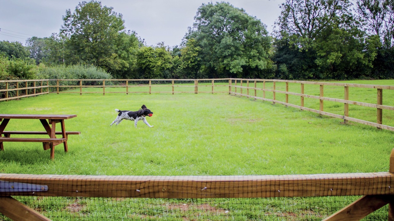 Photo of Others in Shipham