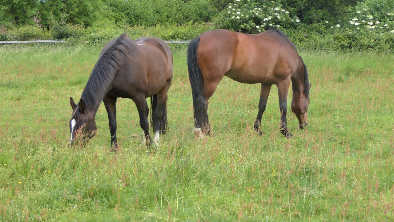 Photo of Others in Shipham