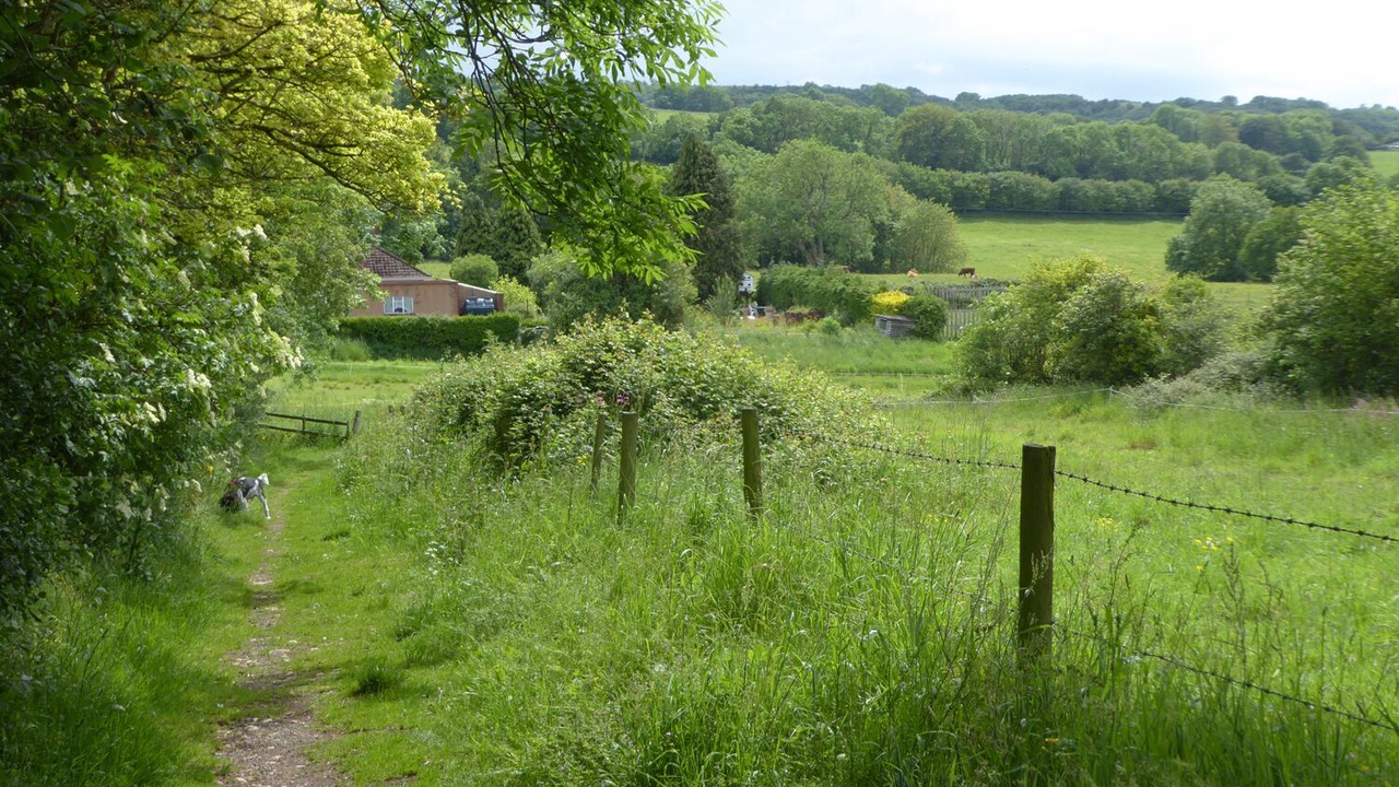 Photo of Others in Shipham