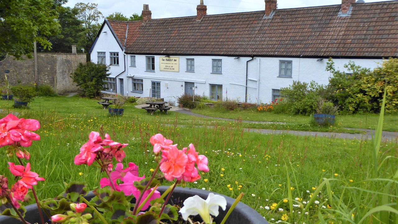 Photo of Others in Shipham