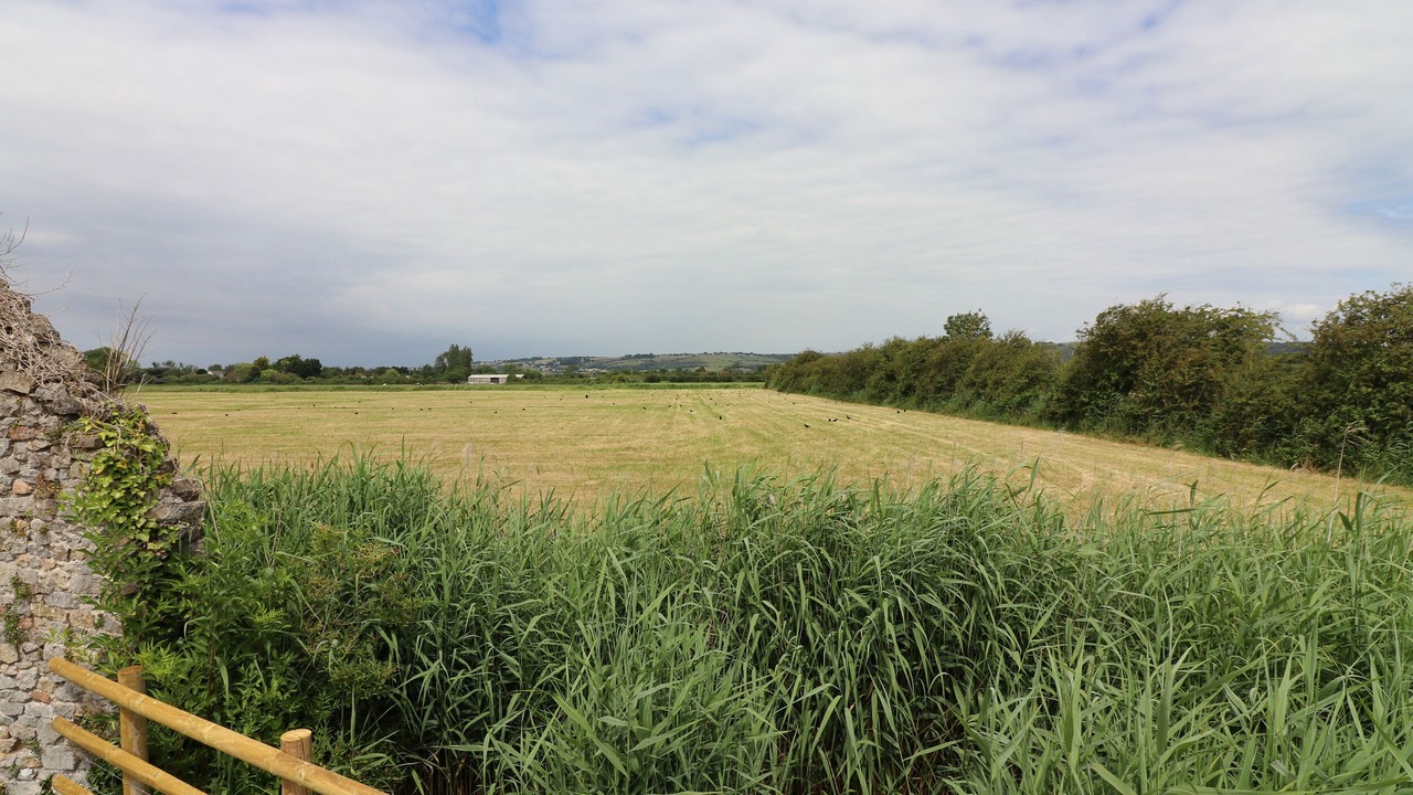 Photo of Others in Weston-super-Mare