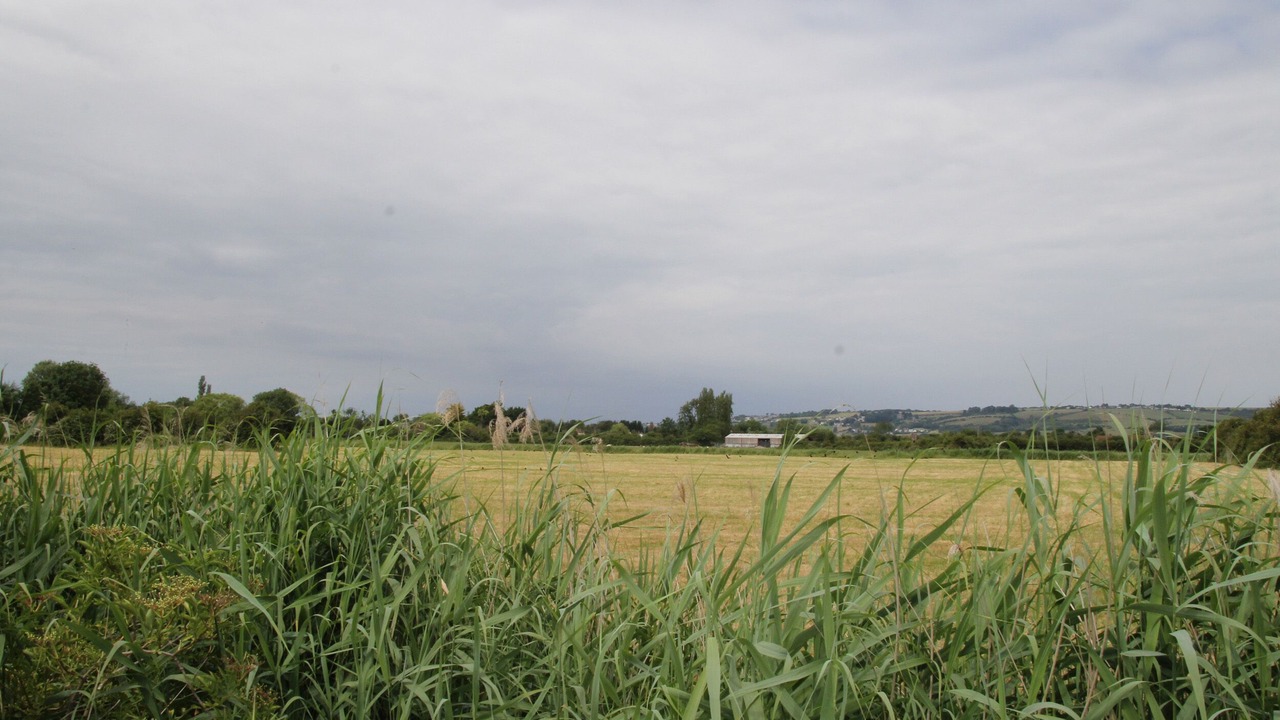Photo of Others in Weston-super-Mare