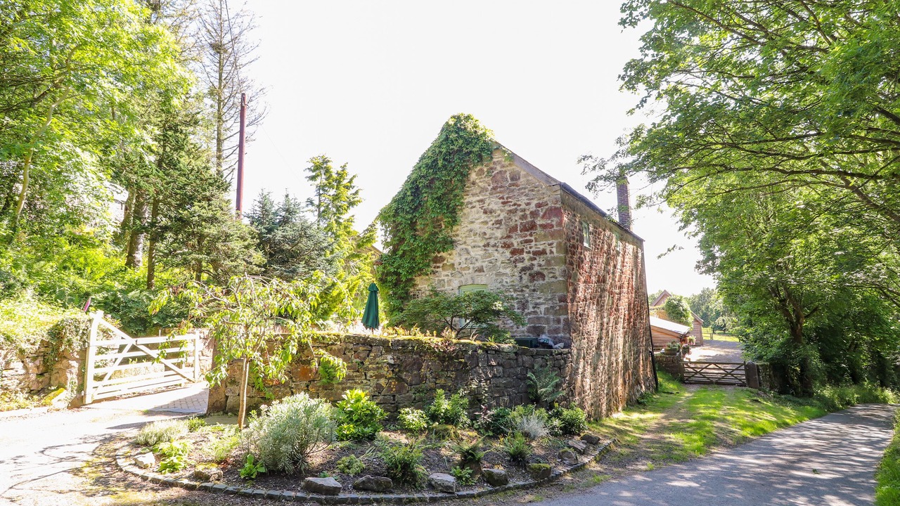 Photo of Others in Mold