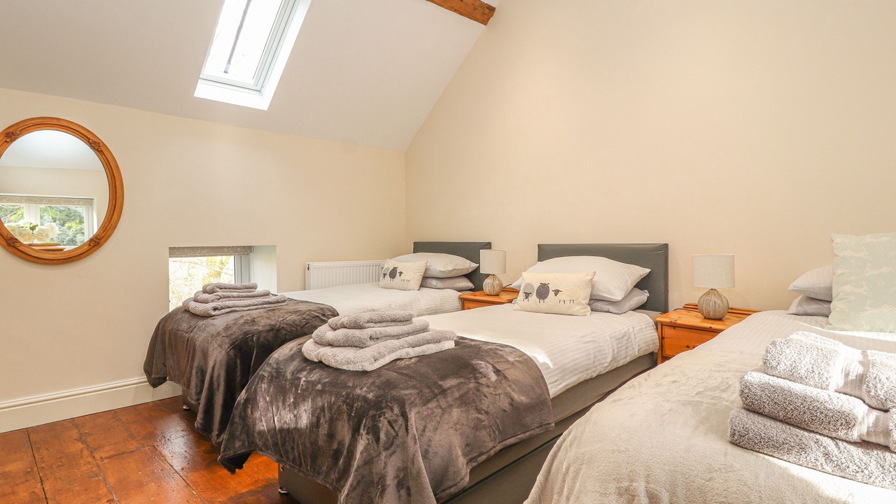 Photo of Others in Mold