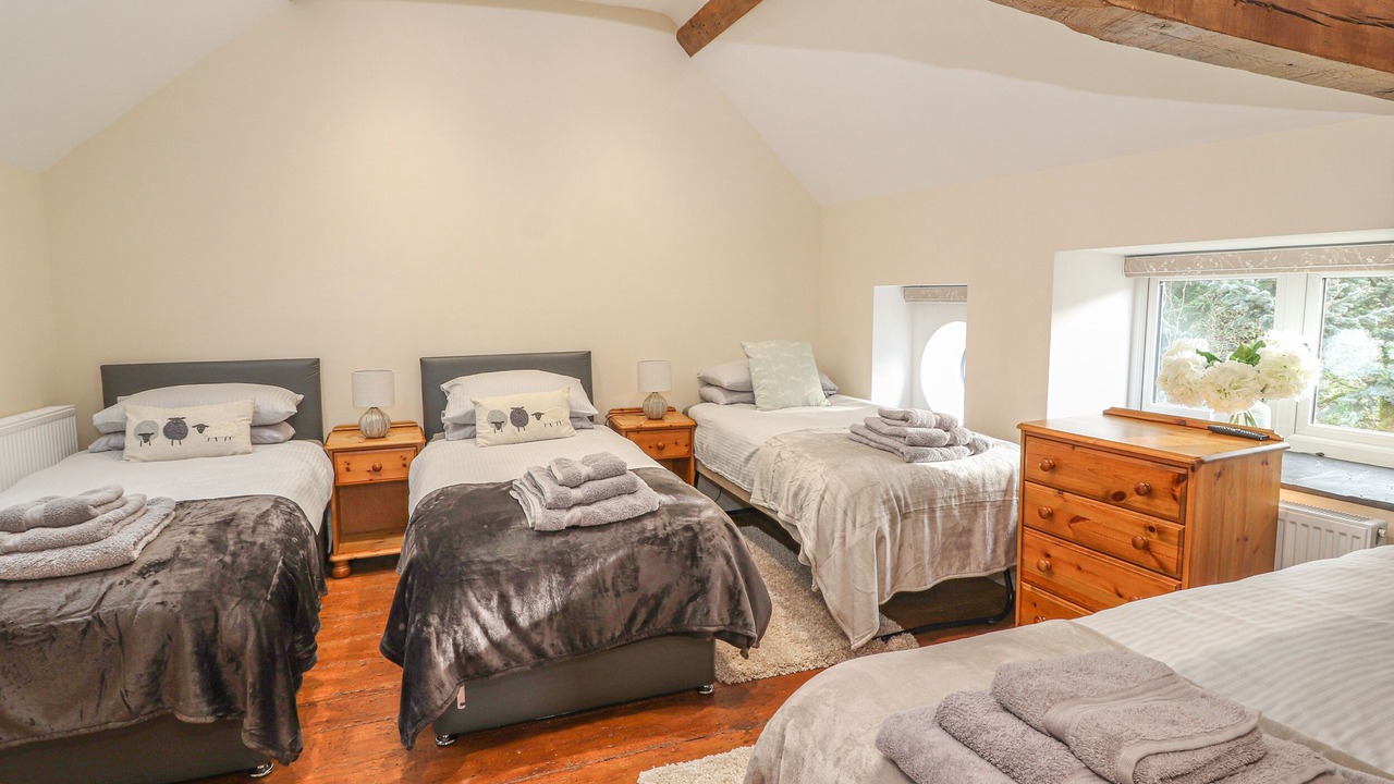 Photo of Others in Mold