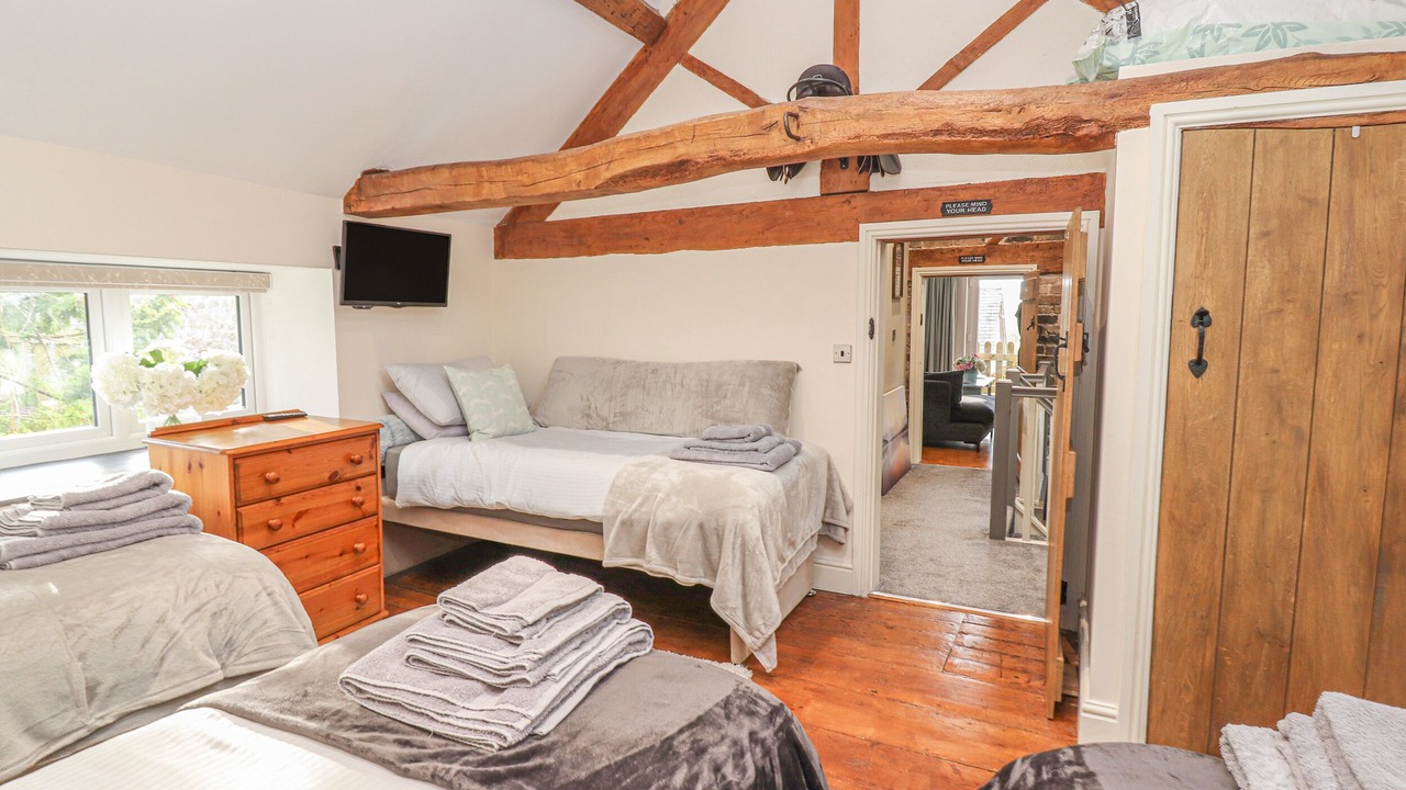 Photo of Others in Mold