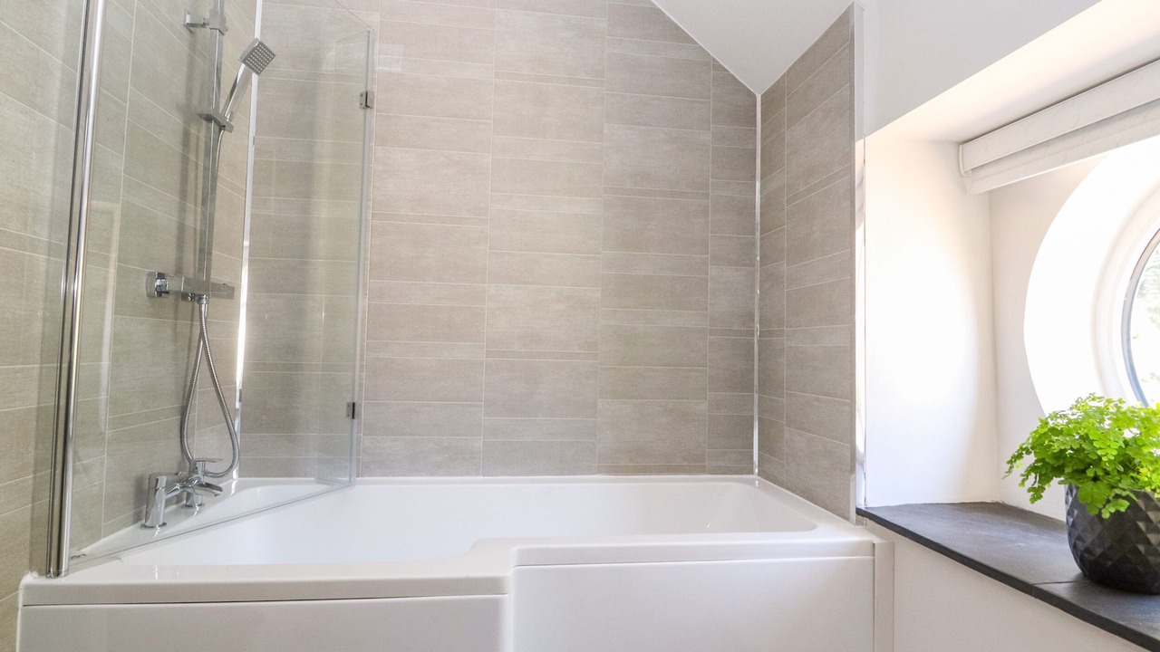 Photo of Bathroom in Mold