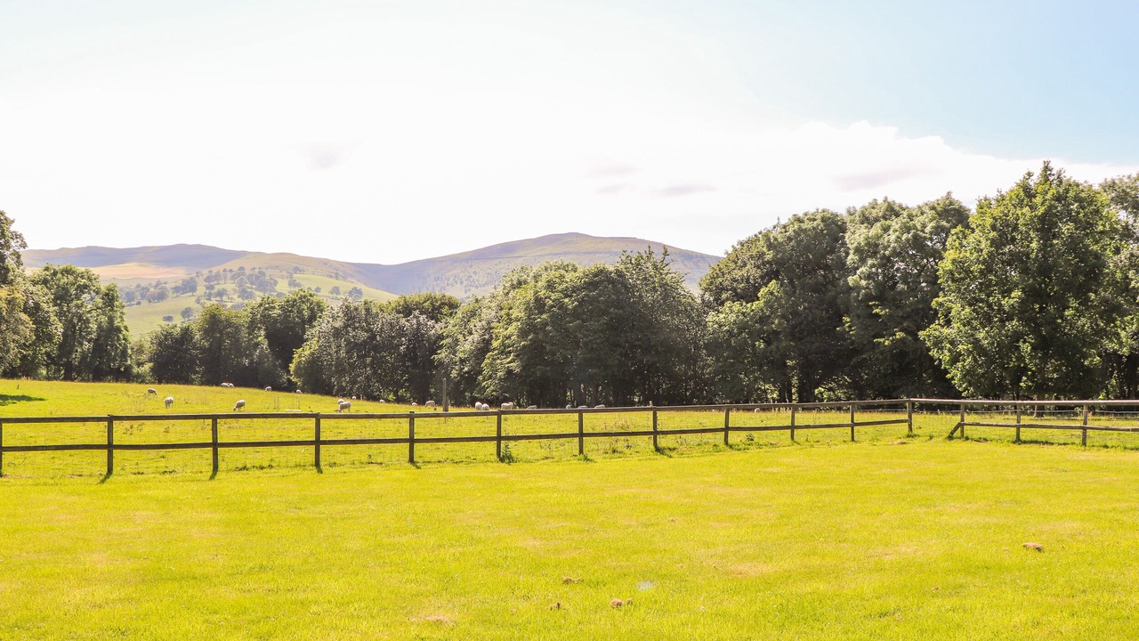 Photo of Others in Mold