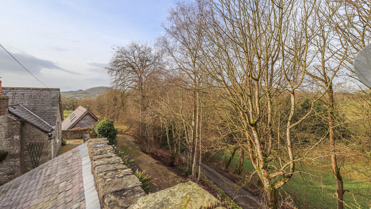 Photo of Others in Mold