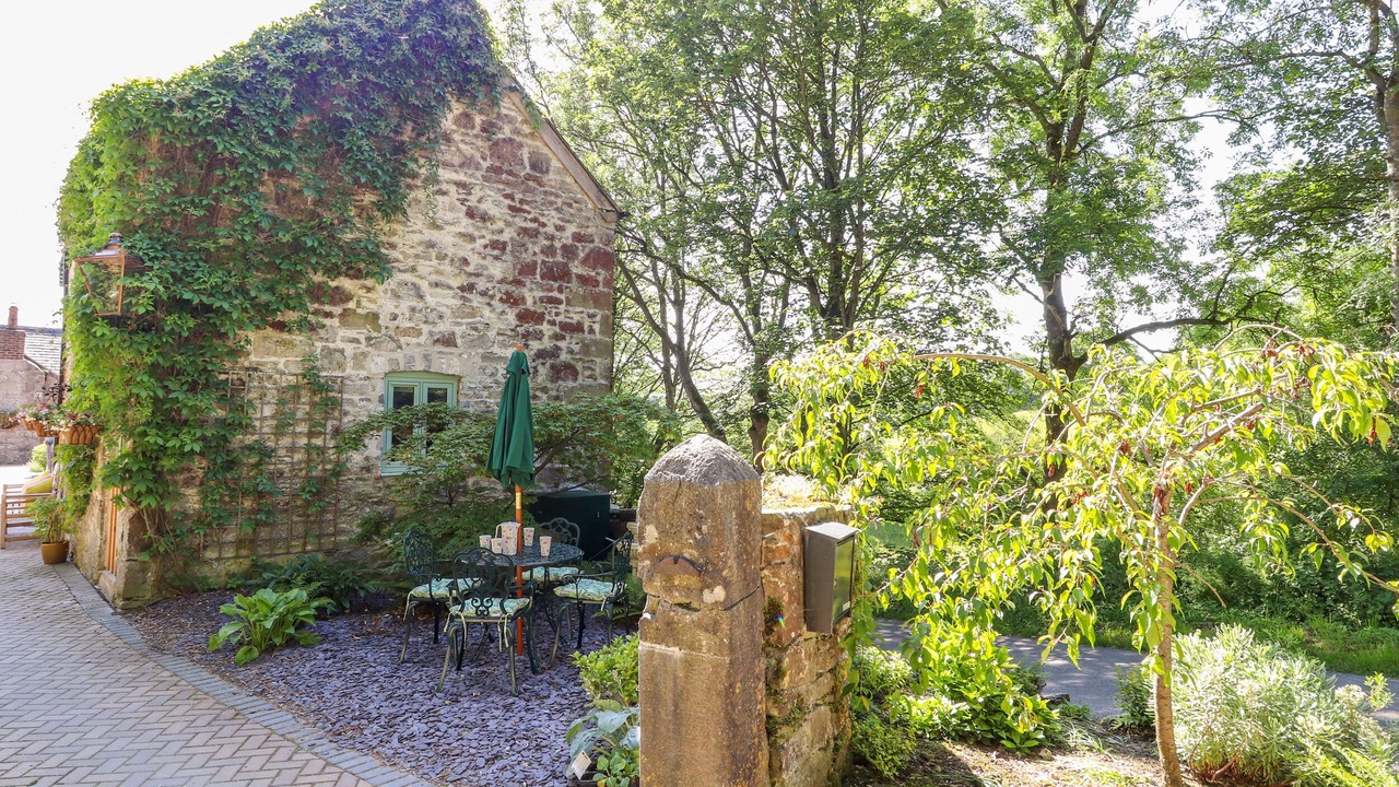 Photo of Others in Mold