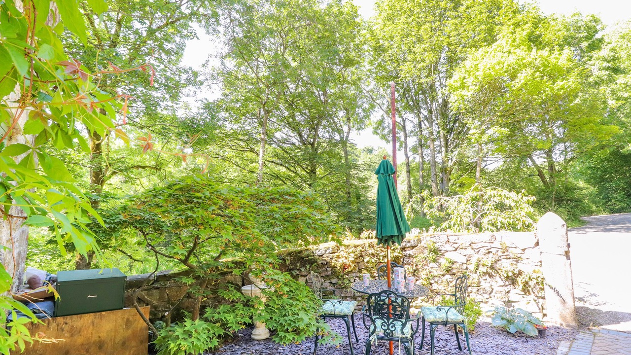 Photo of Others in Mold