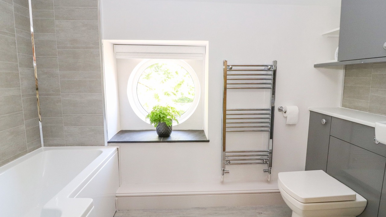 Photo of Bathroom in Mold