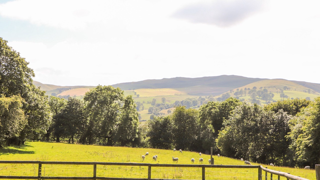 Photo of Others in Mold