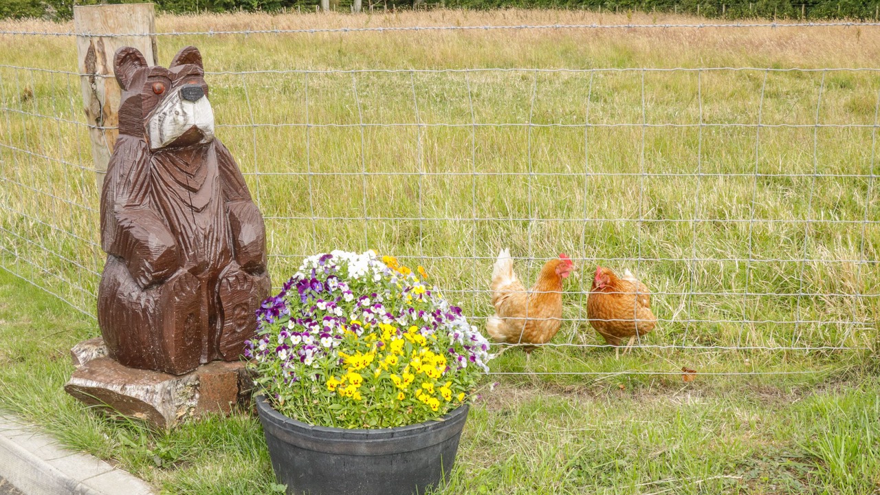 Photo of Others in Stainburn