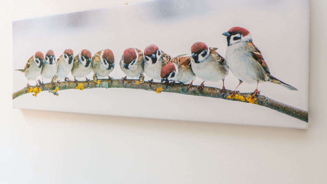 Photo of Others in Foxley