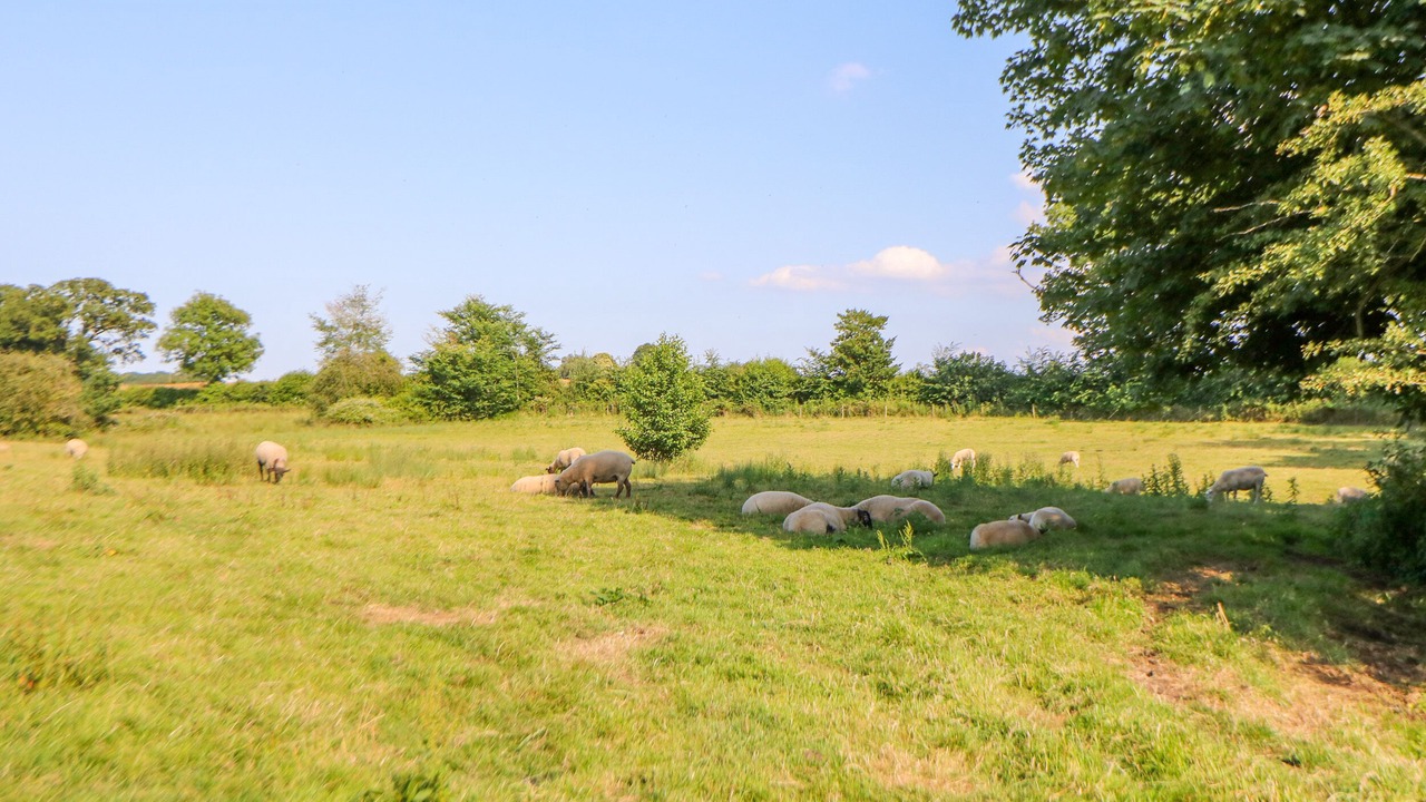 Photo of Others in Foxley