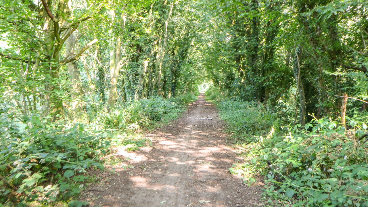 Photo of Others in Foxley