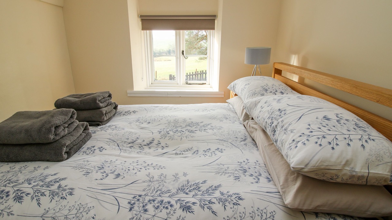 Photo of Others in Clun