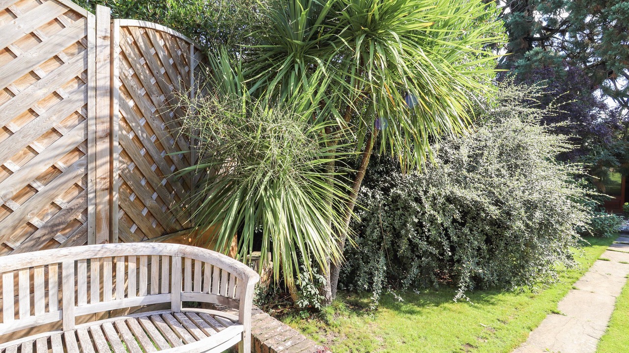 Photo of Others in Mickle Trafford