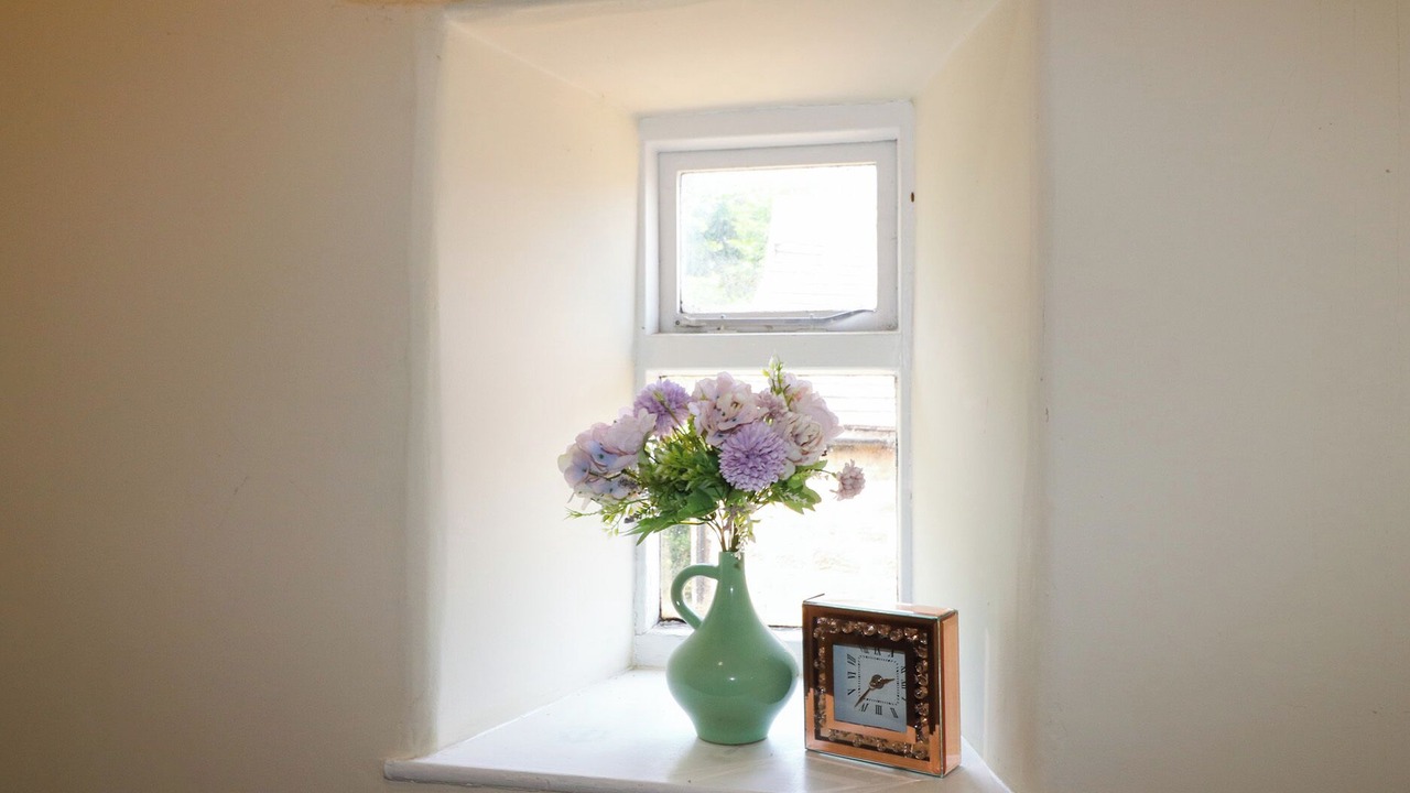 Photo of Others in Milford