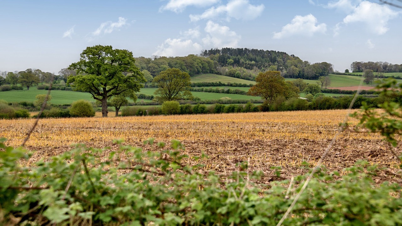 Photo of Others in Hereford