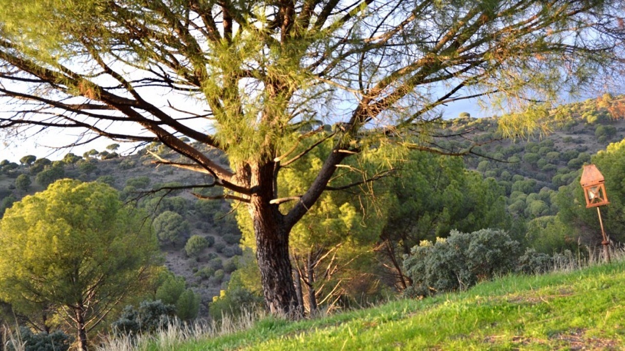 Photo of Outdoor in Navas del Rey