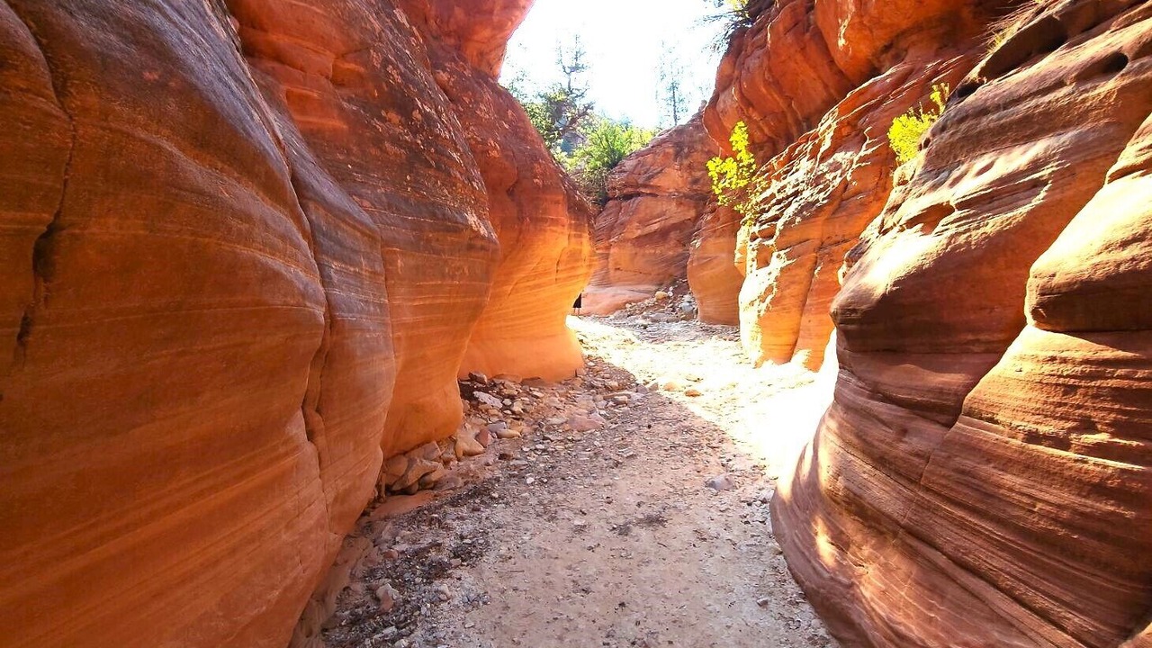 Photo of Outdoor in Zion National Park East Entrance