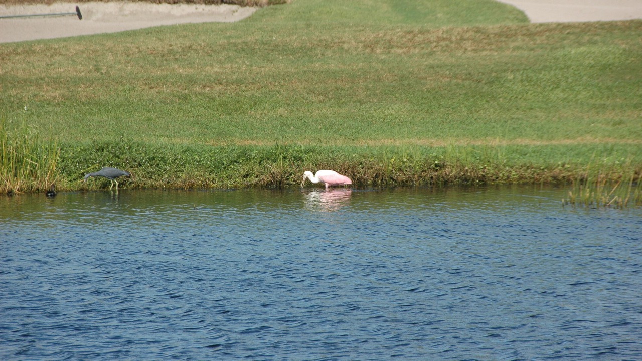 Photo of Others in Hobe Sound