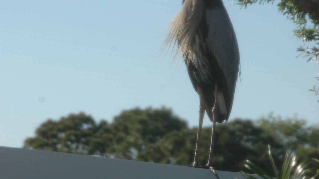 Photo of Outdoor in Hobe Sound