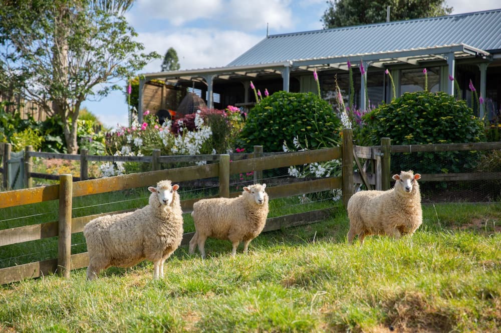 Photo of Outdoor in Waikino