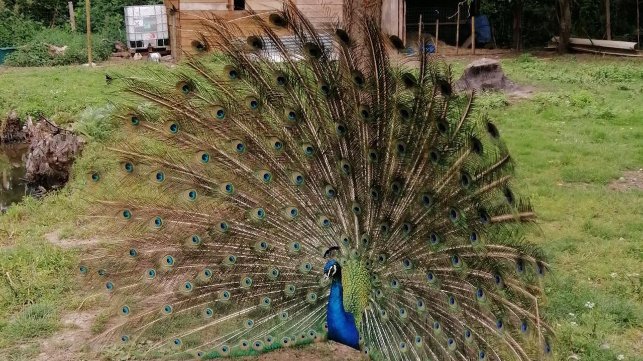 Photo of Outdoor in Mareuil-Sur-Lay-Dissais