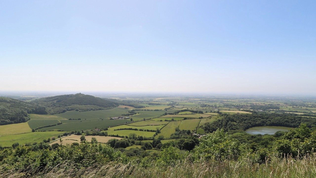 Photo of Others in Stokesley