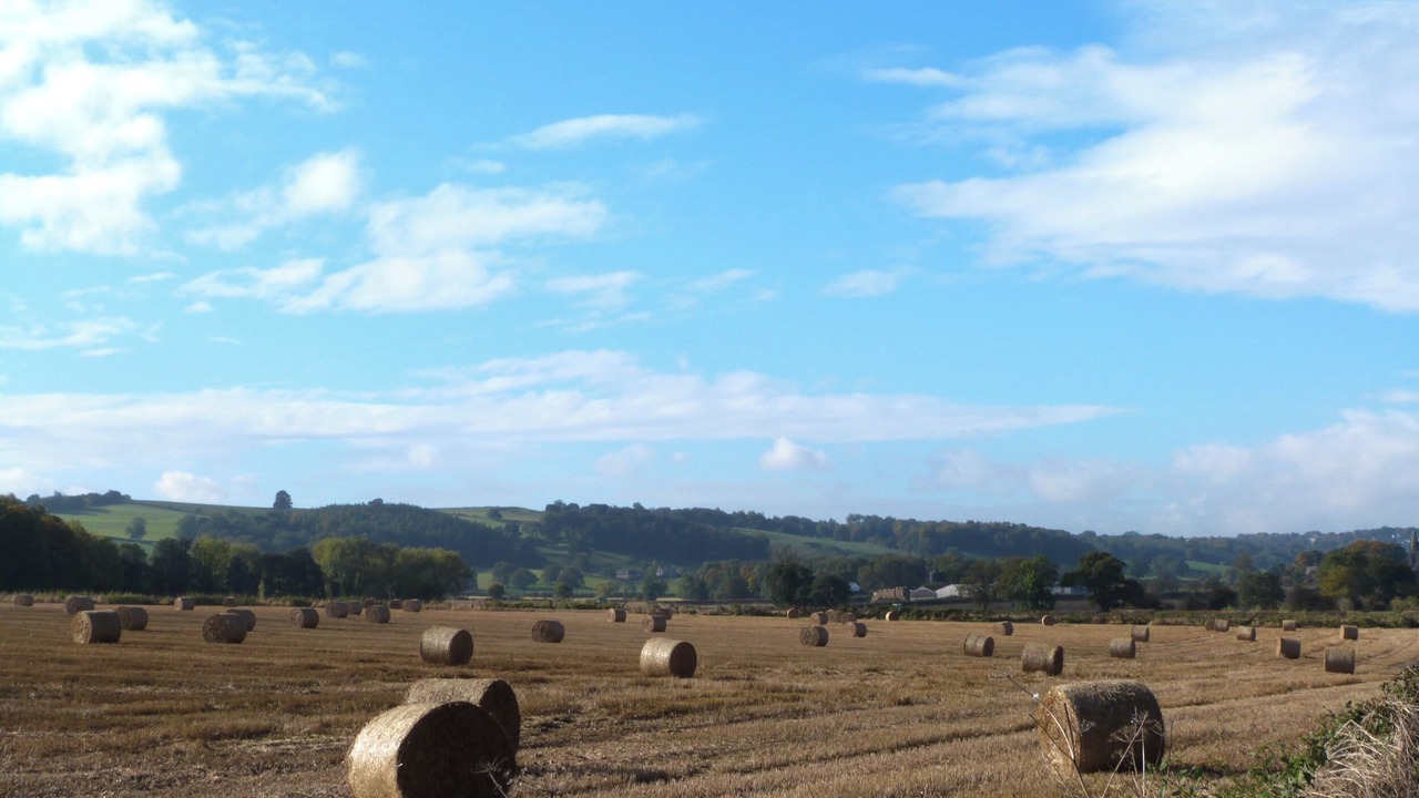 Photo of Others in Stokesley