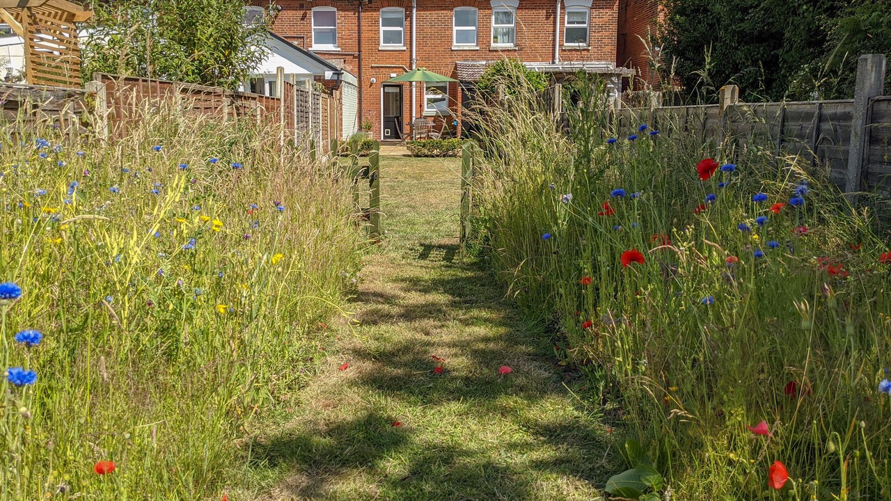 Photo of Others in Frinton-on-Sea