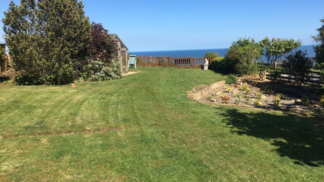 Photo of Others in Robin Hood's Bay