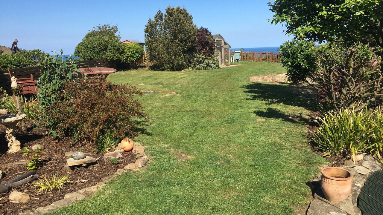 Photo of Others in Robin Hood's Bay
